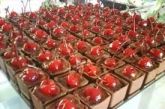 Pave de Chocolate com Cereja
